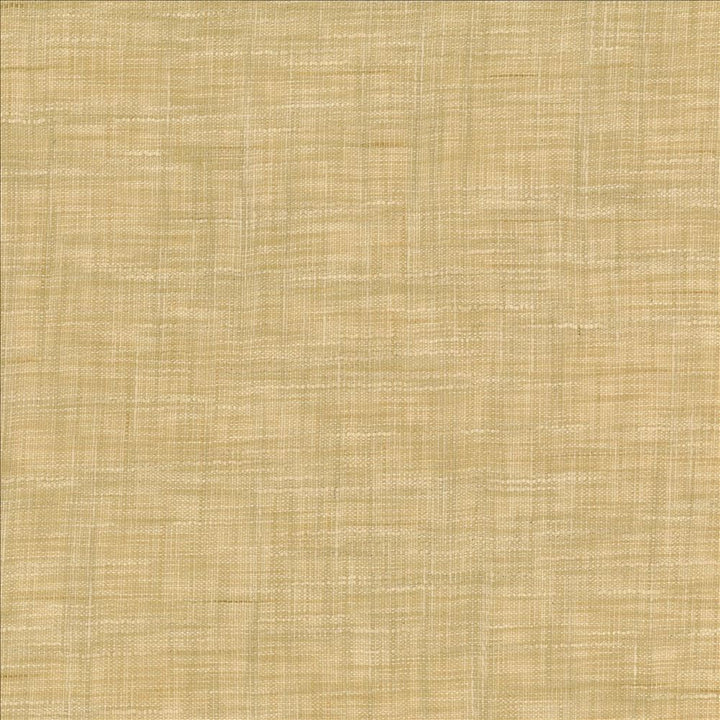 Tao Texture Rice by Kasmir Fabric 5139 100% Polyester
 INDIA Not Tested </p><p>Repeat: Horizontal: N/A and Vertical: N/A 54 - Fabric Carolina -