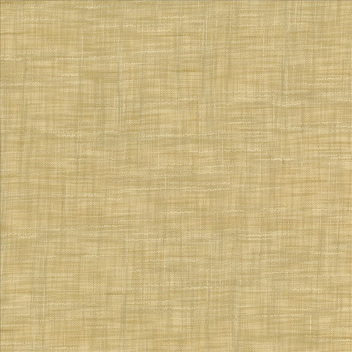 Tao Texture Rice by Kasmir Fabric 5139 100% Polyester INDIA Not Tested Horizontal: 0 Inches and Vertical: 0 Inches 54 - Fabric Carolina -