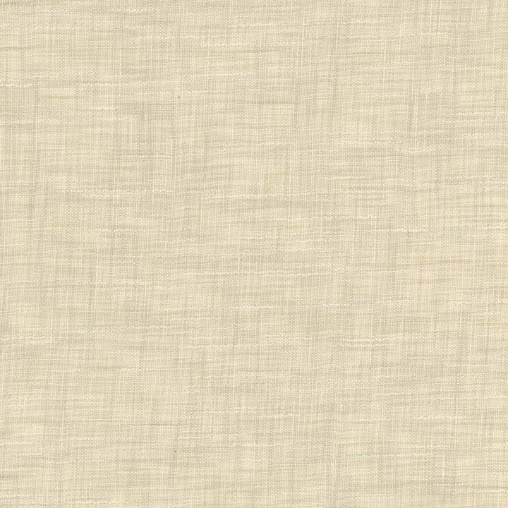 Tao Texture Rice by Kasmir Fabric 5061 INDIA Not Tested H: N/A, V:N/A 54 - Fabric Carolina - Kasmir