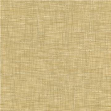 Tao Texture Rice by Kasmir Fabric 5061 100% Polyester INDIA Not Tested H: N/A, V: N/A 54 - Fabric Carolina - Kasmir