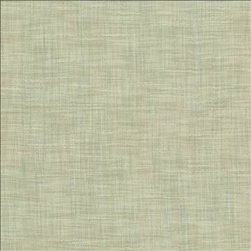 Tao Texture Seabreeze by Kasmir Fabric 5061 100% Polyester INDIA Not Tested H: N/A, V: N/A 54 - Fabric Carolina - Kasmir