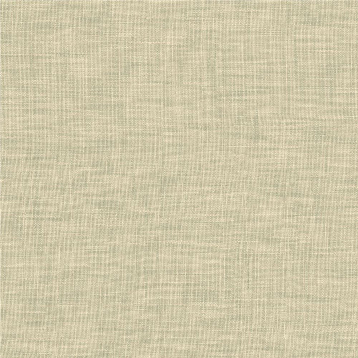 Tao Texture Seabreeze by Kasmir Fabric 5061 100% Polyester
 INDIA Not Tested </p><p>Repeat: Horizontal: N/A and Vertical: N/A 54 - Fabric Carolina -