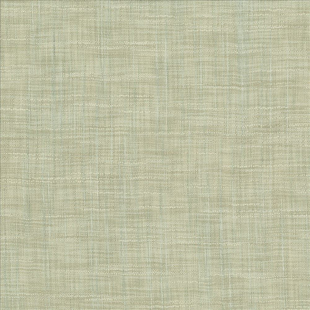Tao Texture Seabreeze by Kasmir Fabric 5139 100% Polyester
 INDIA Not Tested Horizontal: N/A and Vertical: N/A 54 - Fabric Carolina -