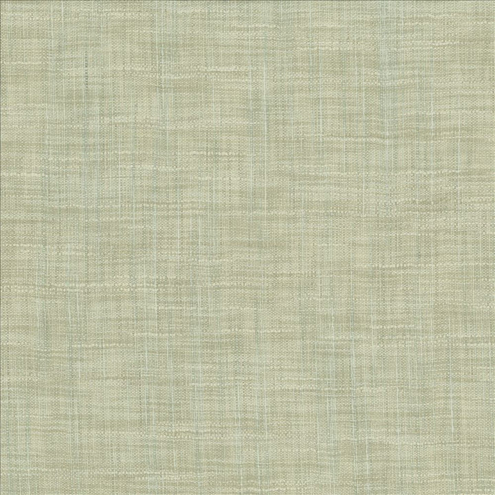 Tao Texture Seabreeze by Kasmir Fabric 5061 100% Polyester
 INDIA </p><p>Repeat: Horizontal: N/A and Vertical: N/A 54 - Fabric Carolina -