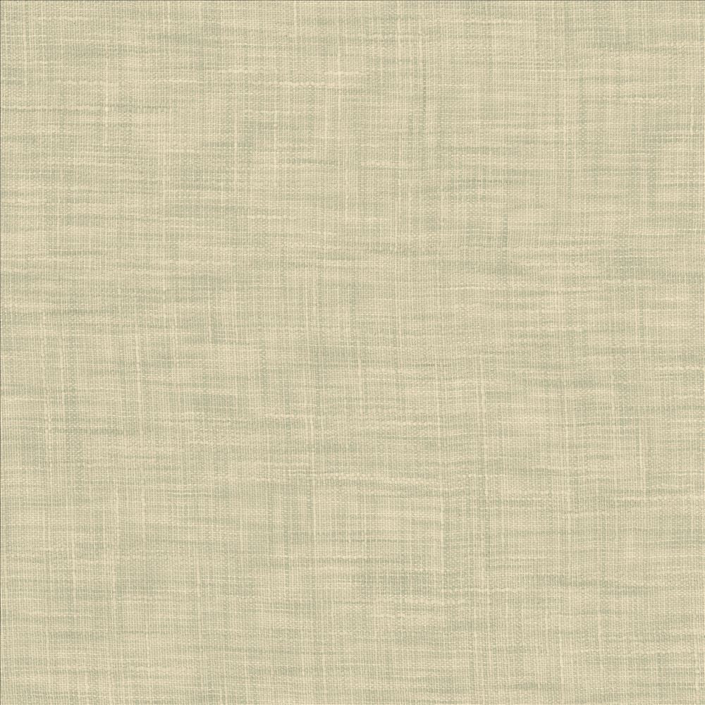 Tao Texture Seabreeze by Kasmir Fabric 5139 100% Polyester
 INDIA Not Tested </p><p>Repeat: Horizontal: N/A and Vertical: N/A 54 - Fabric Carolina -
