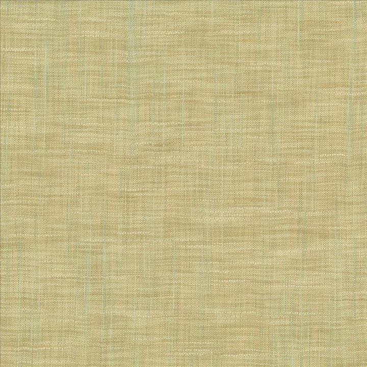 Tao Texture Seaspray by Kasmir Fabric 5061 100% Polyester
 INDIA Not Tested Horizontal: N/A and Vertical: N/A 54 - Fabric Carolina -