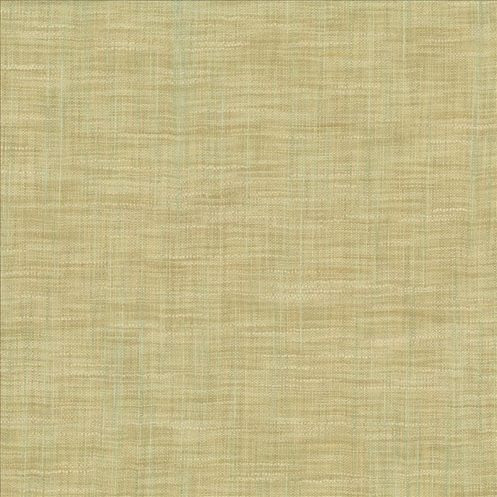 Tao Texture Seaspray by Kasmir Fabric 5061 100% Polyester
 INDIA </p><p>Repeat: Horizontal: N/A and Vertical: N/A 54 - Fabric Carolina -