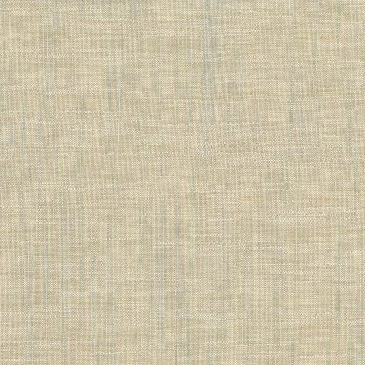 Tao Texture Seaspray by Kasmir Fabric 5061 INDIA Not Tested H: N/A, V:N/A 54 - Fabric Carolina - Kasmir