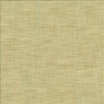 Tao Texture Seaspray by Kasmir Fabric 5139 100% Polyester INDIA Not Tested H: N/A, V: N/A 54 - Fabric Carolina - Kasmir