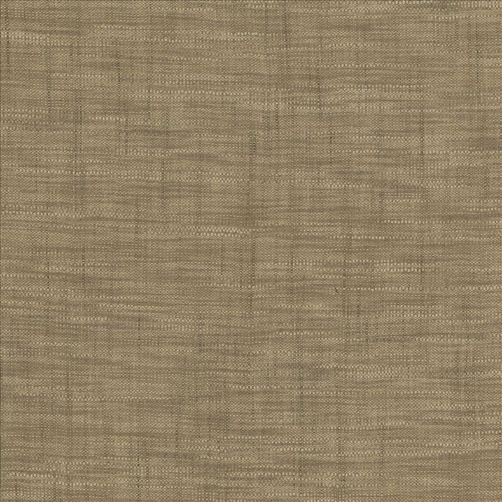 Tao Texture Stone by Kasmir Fabric 5139 100% Polyester
 INDIA </p><p>Repeat: Horizontal: N/A and Vertical: N/A 54 - Fabric Carolina -