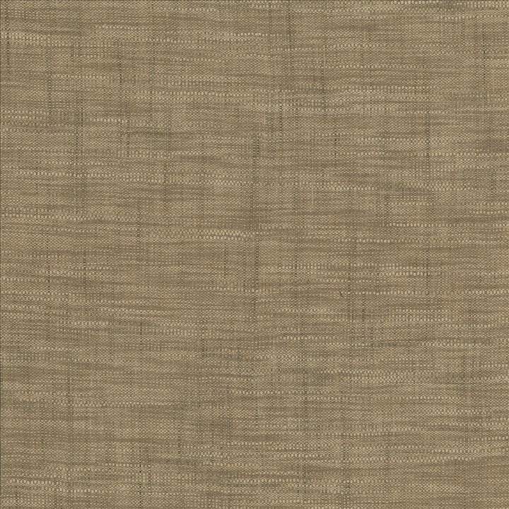 Tao Texture Stone by Kasmir Fabric 5061 100% Polyester
 INDIA Not Tested Horizontal: N/A and Vertical: N/A 54 - Fabric Carolina -