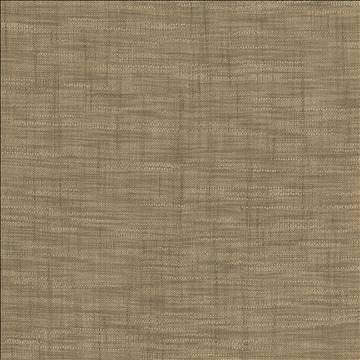 Tao Texture Stone by Kasmir Fabric 5139 100% Polyester INDIA Not Tested H: N/A, V: N/A 54 - Fabric Carolina - Kasmir