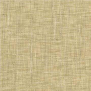 Tao Texture Tea Stain by Kasmir Fabric 5061 100% Polyester INDIA Not Tested H: N/A, V: N/A 54 - Fabric Carolina - Kasmir