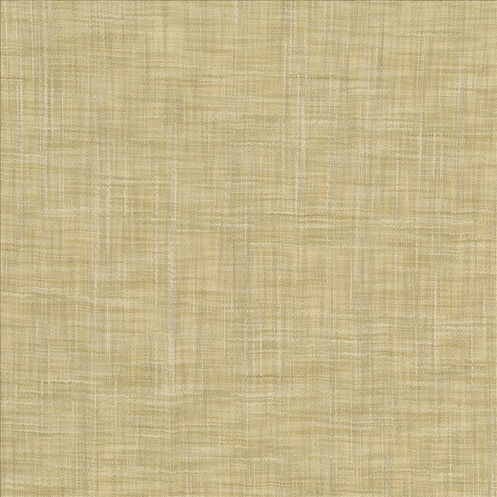 Tao Texture Tea Stain by Kasmir Fabric 5061 100% Polyester INDIA Not Tested Horizontal: 0 Inches and Vertical: 0 Inches 54 - Fabric Carolina -