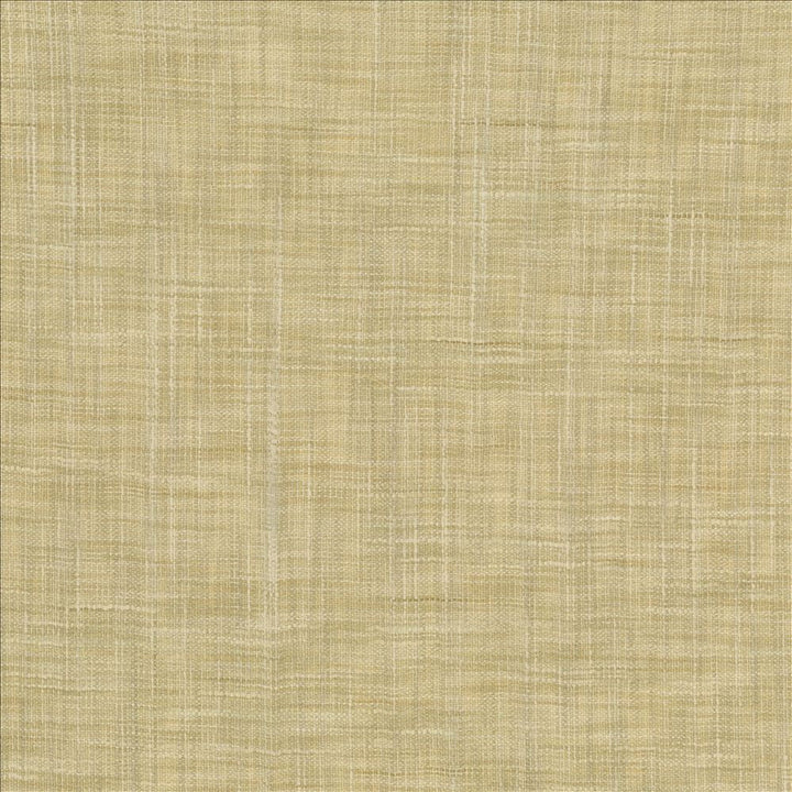 Tao Texture Tea Stain by Kasmir Fabric 5061 100% Polyester
 INDIA </p><p>Repeat: Horizontal: N/A and Vertical: N/A 54 - Fabric Carolina -