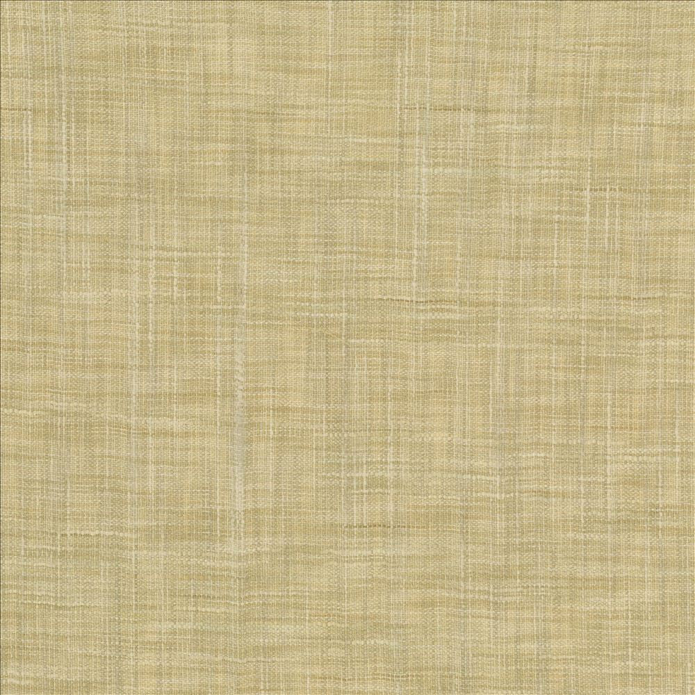 Tao Texture Tea Stain by Kasmir Fabric 5139 100% Polyester INDIA Not Tested Horizontal: 0 Inches and Vertical: 0 Inches 54 - Fabric Carolina -