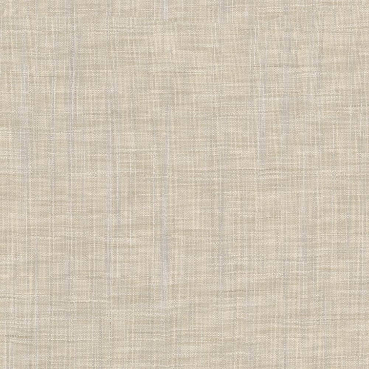 Tao Texture Tea Stain by Kasmir Fabric 5061 INDIA Not Tested H: N/A, V:N/A 54 - Fabric Carolina - Kasmir