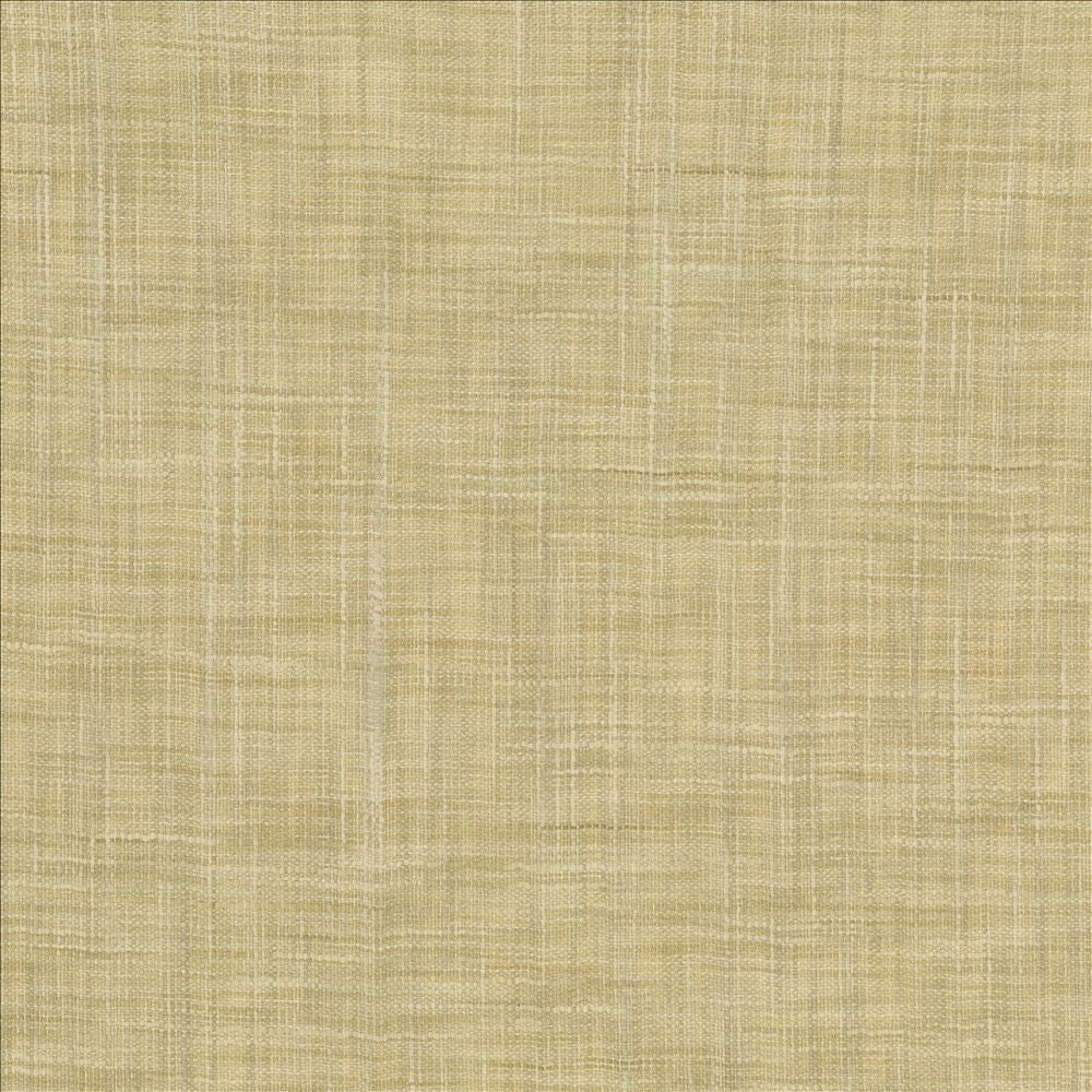 Tao Texture Tea Stain by Kasmir Fabric 5139 100% Polyester
 INDIA </p><p>Repeat: Horizontal: N/A and Vertical: N/A 54 - Fabric Carolina -