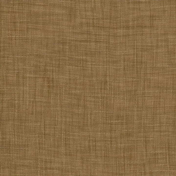 Tao Texture Caramel by Kasmir Fabric 5061 100% Polyester
 INDIA </p><p>Repeat: Horizontal: N/A and Vertical: N/A 54 - Fabric Carolina -