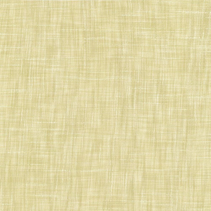 Tao Texture Champagne by Kasmir Fabric 5139 100% Polyester
 INDIA </p><p>Repeat: Horizontal: N/A and Vertical: N/A 54 - Fabric Carolina -