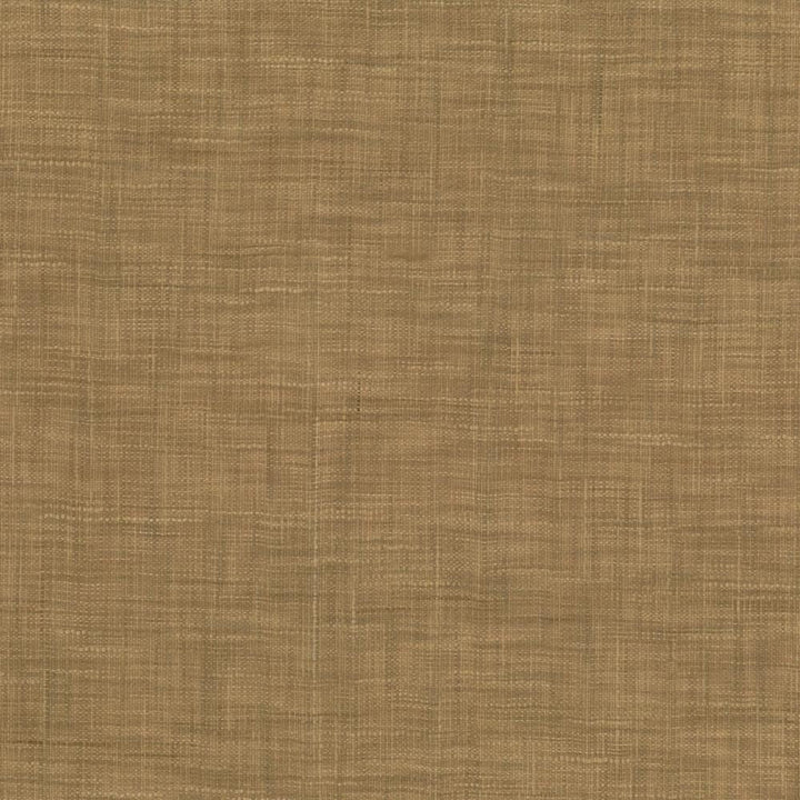 Tao Texture Nutmeg by Kasmir Fabric 5139 100% Polyester
 INDIA </p><p>Repeat: Horizontal: N/A and Vertical: N/A 54 - Fabric Carolina -