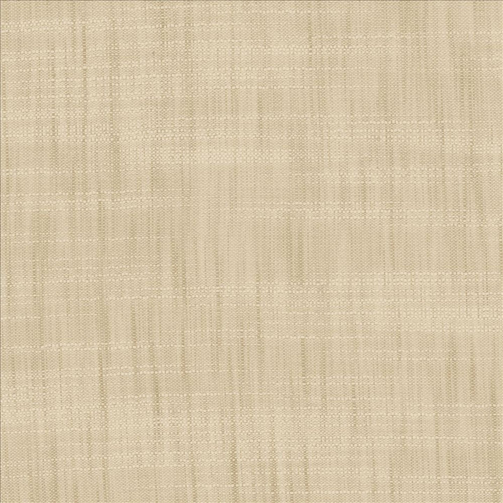 Tao Texture Oyster by Kasmir Fabric 5139 100% Polyester
 INDIA </p><p>Repeat: Horizontal: N/A and Vertical: N/A 54 - Fabric Carolina -