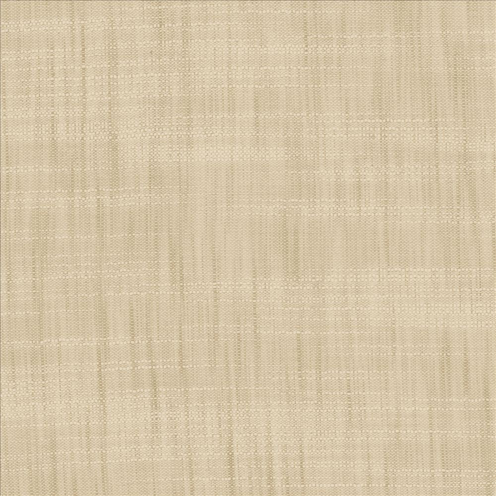 Tao Texture Oyster by Kasmir Fabric 5061 100% Polyester
 INDIA </p><p>Repeat: Horizontal: N/A and Vertical: N/A 54 - Fabric Carolina -