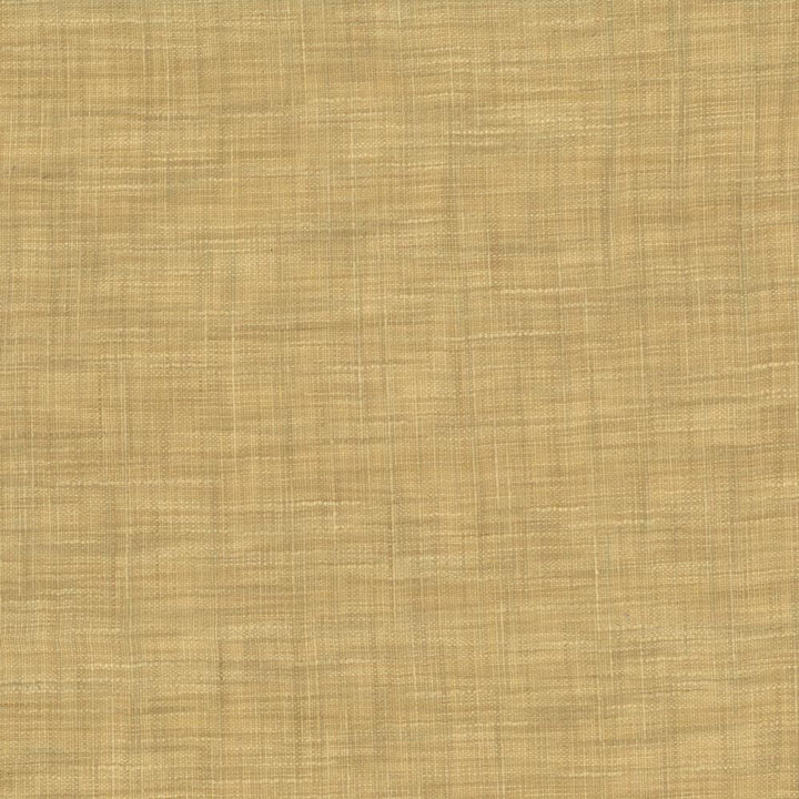 Tao Texture Parchment by Kasmir Fabric 5061 100% Polyester
 INDIA </p><p>Repeat: Horizontal: N/A and Vertical: N/A 54 - Fabric Carolina -