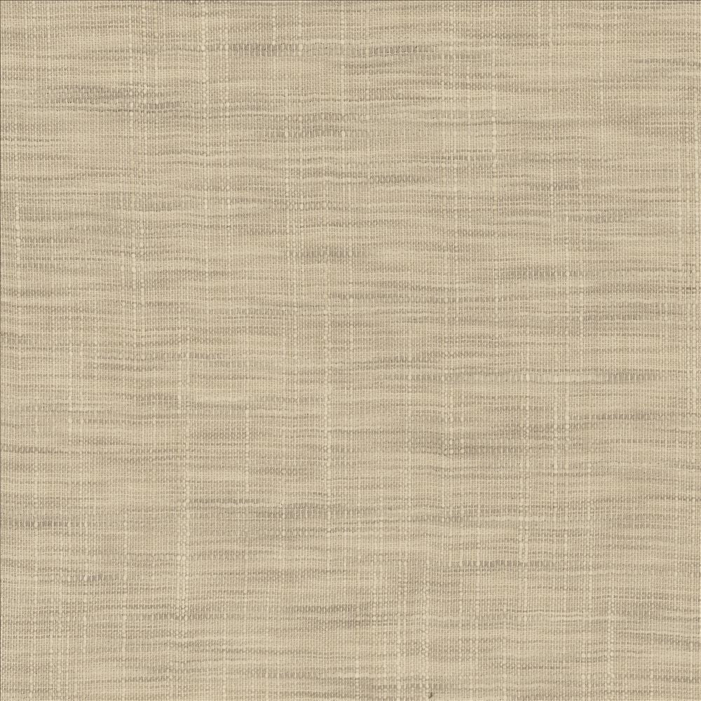 Tao Texture Pebble by Kasmir Fabric 5139 100% Polyester
 INDIA </p><p>Repeat: Horizontal: N/A and Vertical: N/A 54 - Fabric Carolina -