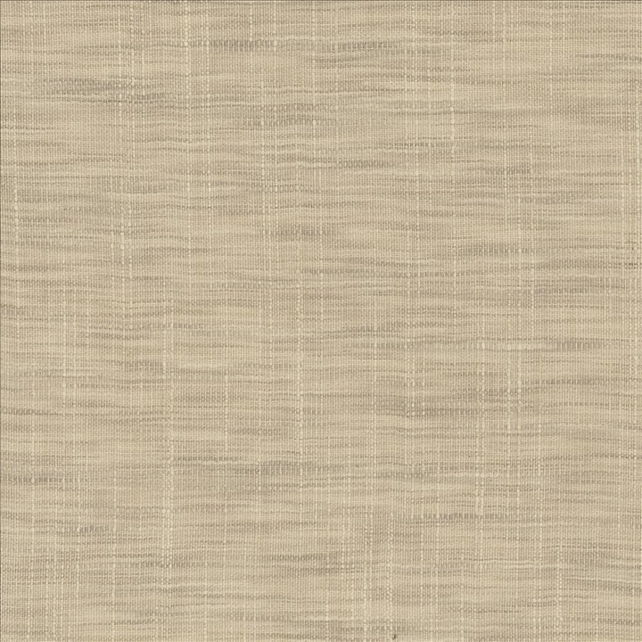 Tao Texture Pebble by Kasmir Fabric 5181 100% Polyester
 INDIA </p><p>Repeat: Horizontal: N/A and Vertical: N/A 54 - Fabric Carolina -