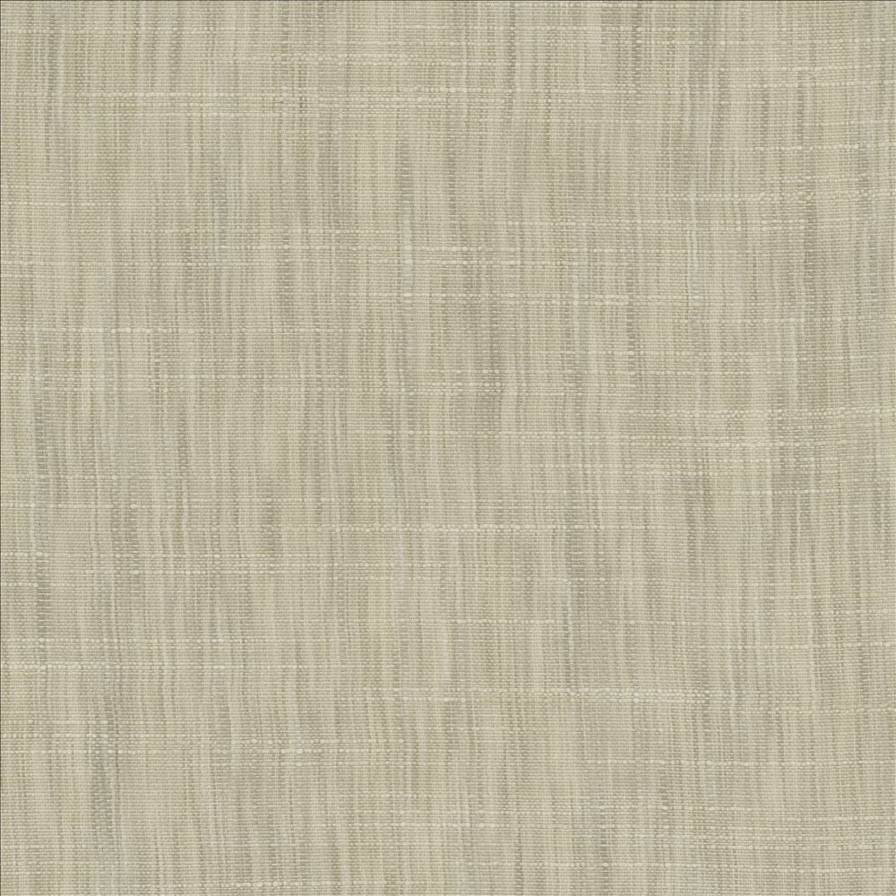 Tao Texture Platinum by Kasmir Fabric 5139 100% Polyester
 INDIA </p><p>Repeat: Horizontal: N/A and Vertical: N/A 54 - Fabric Carolina -