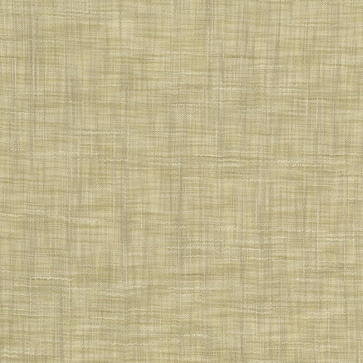 Tao Texture Putty by Kasmir Fabric 5139 100% Polyester
 INDIA </p><p>Repeat: Horizontal: N/A and Vertical: N/A 54 - Fabric Carolina -