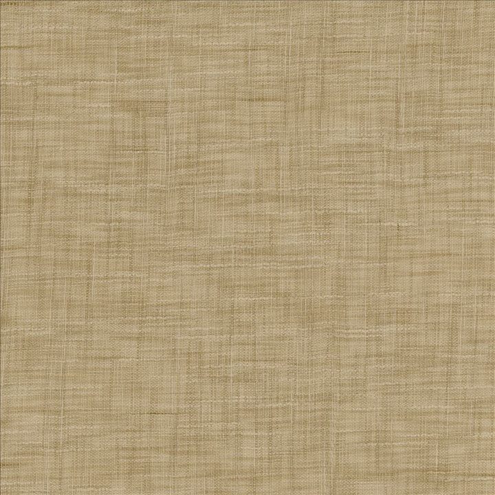 Tao Texture Rice by Kasmir Fabric 5181 100% Polyester
 INDIA </p><p>Repeat: Horizontal: N/A and Vertical: N/A 54 - Fabric Carolina -