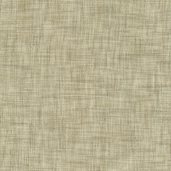 Tao Texture Sandstone by Kasmir Fabric 5139 100% Polyester
 INDIA </p><p>Repeat: Horizontal: N/A and Vertical: N/A 54 - Fabric Carolina -