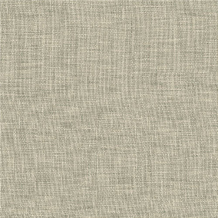 Tao Texture Seabreeze by Kasmir Fabric 5061 100% Polyester
 INDIA </p><p>Repeat: Horizontal: N/A and Vertical: N/A 54 - Fabric Carolina -