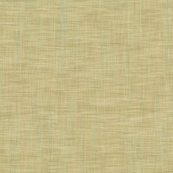 Tao Texture Seaspray by Kasmir Fabric 5139 100% Polyester
 INDIA </p><p>Repeat: Horizontal: N/A and Vertical: N/A 54 - Fabric Carolina -