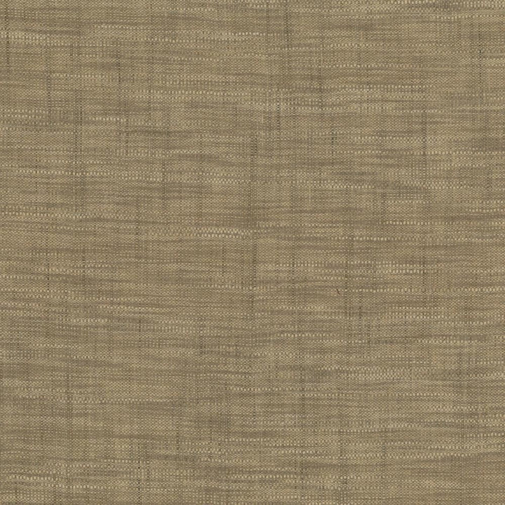 Tao Texture Stone by Kasmir Fabric 5061 100% Polyester
 INDIA </p><p>Repeat: Horizontal: N/A and Vertical: N/A 54 - Fabric Carolina -