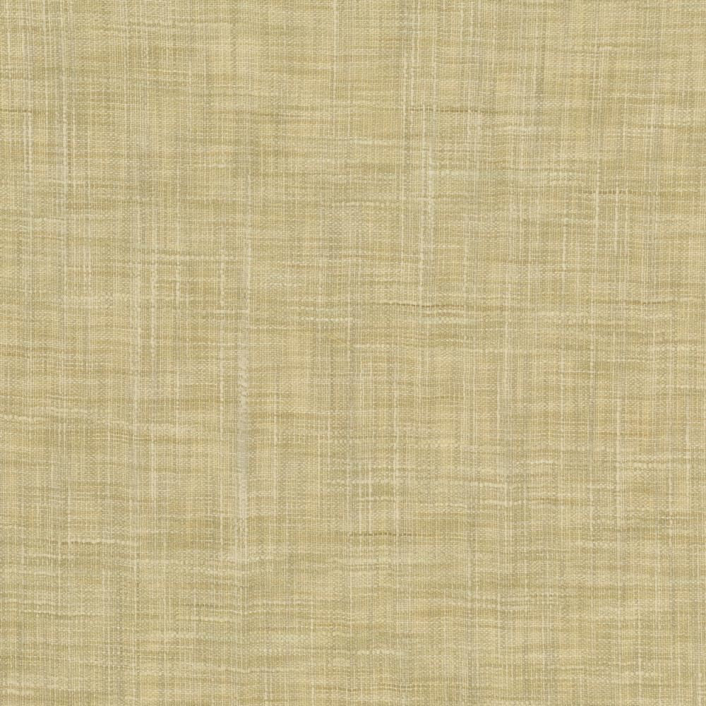 Tao Texture Tea Stain by Kasmir Fabric 5139 100% Polyester
 INDIA </p><p>Repeat: Horizontal: N/A and Vertical: N/A 54 - Fabric Carolina -