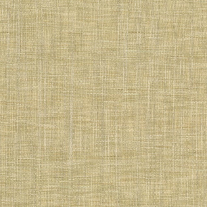 Tao Texture Tea Stain by Kasmir Fabric 5061 100% Polyester
 INDIA </p><p>Repeat: Horizontal: N/A and Vertical: N/A 54 - Fabric Carolina -