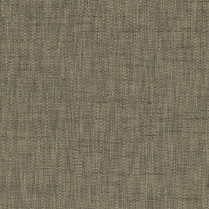 Tao Texture Zinc by Kasmir Fabric 5139 100% Polyester
 INDIA </p><p>Repeat: Horizontal: N/A and Vertical: N/A 54 - Fabric Carolina -