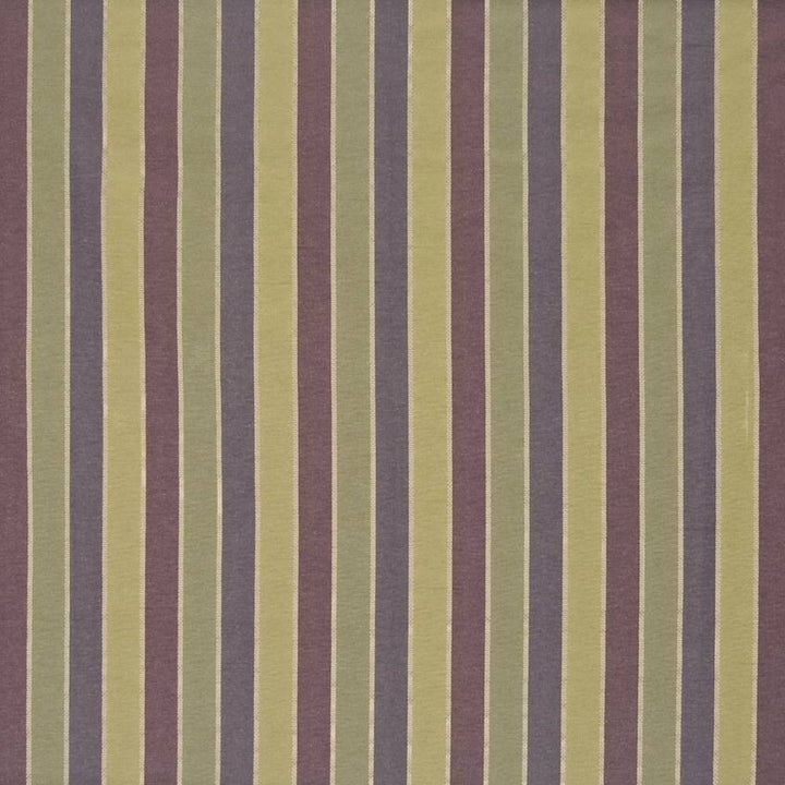 Tapatio Stripe Grapevine by Kasmir Fabric 1370 TAIWAN 9,000 Wyzenbeek Double Rubs H: 6 6/8 inches, V:N/A 55 - Fabric Carolina - Kasmir