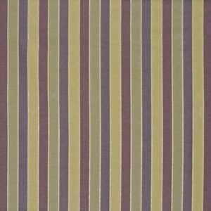 Tapatio Stripe Grapevine by Kasmir Fabric