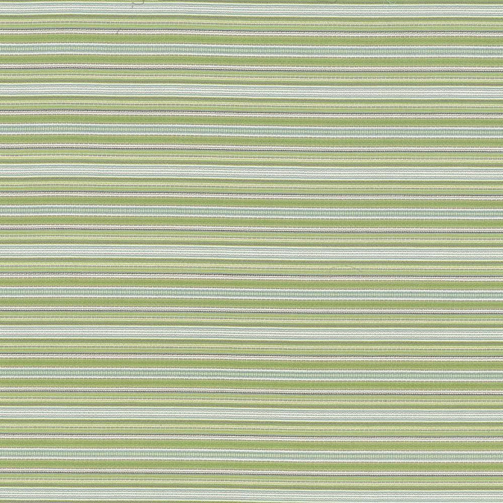 Tatiana Stripe Aspen by Kasmir Fabric 5074 100% Cotton, Organic
 USA 15,000 Wyzenbeek Double Rubs </p><p>Repeat: Horizontal: N/A and Vertical: 4 inches 54 - Fabric Carolina -