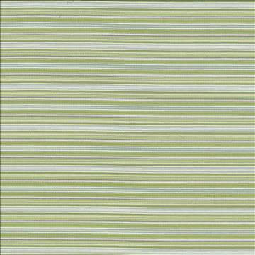 Tatiana Stripe Aspen by Kasmir Fabric 5074 100% Cotton, Organic USA 15,000 Wyzenbeek Double Rubs H: N/A, V: 4 inches 54 - 56 - Fabric Carolina - Kasmir