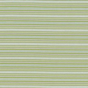 Tatiana Stripe Aspen by Kasmir Fabric