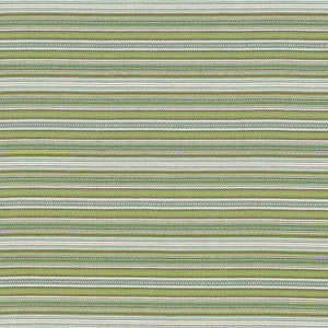 Tatiana Stripe Key Lime by Kasmir Fabric