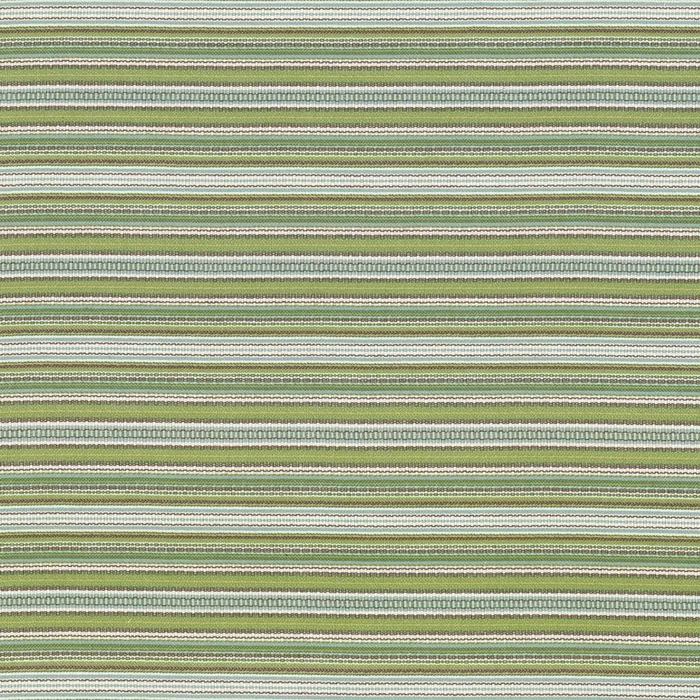 Tatiana Stripe Key Lime by Kasmir Fabric 5074 100% Cotton, Organic USA 15,000 Wyzenbeek Double Rubs Horizontal: 0 Inches and Vertical: 4 inches 54 - 56 - Fabric Carolina -