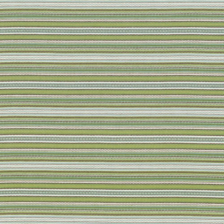 Tatiana Stripe Key Lime by Kasmir Fabric 5074 100% Cotton, Organic USA 15,000 Wyzenbeek Double Rubs Horizontal: 0 Inches and Vertical: 4 inches 54 - 56 - Fabric Carolina -