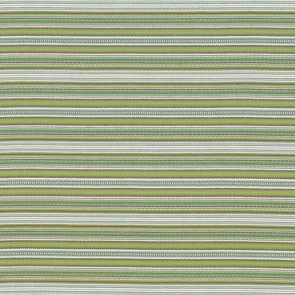 Tatiana Stripe Key Lime by Kasmir Fabric 5074 100% Cotton, Organic
 USA </p><p>Repeat: Horizontal: N/A and Vertical: 4 inches 54 - 56 - Fabric Carolina -