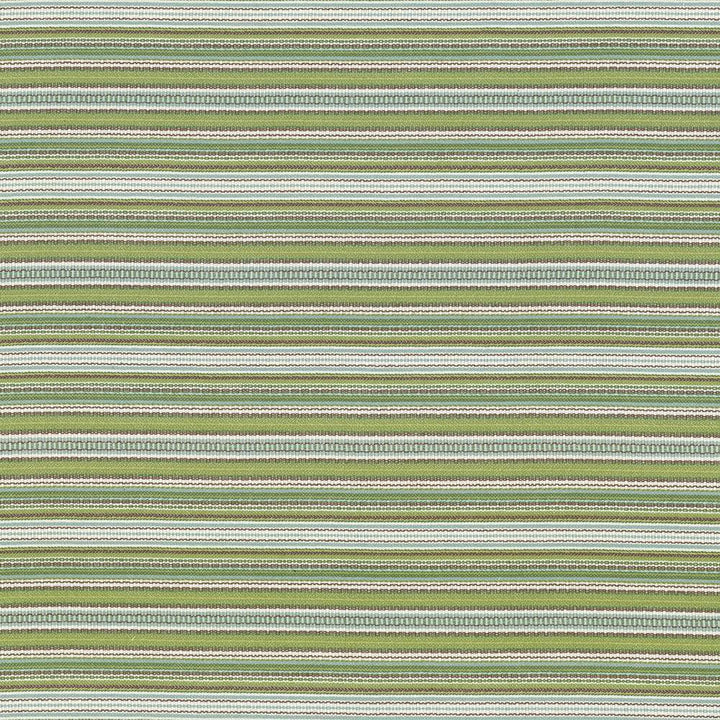 Tatiana Stripe Key Lime by Kasmir Fabric 5074 100% Cotton, Organic
 USA </p><p>Repeat: Horizontal: N/A and Vertical: 4 inches 54 - 56 - Fabric Carolina -